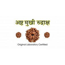8 Mukhi Rudraksh (2.0)